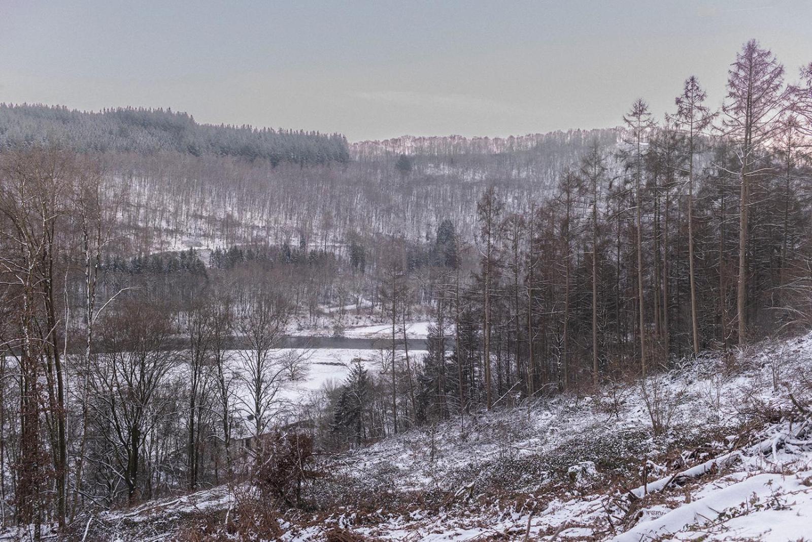 Le Cottage De Christine Vresse-sur-Semois Dış mekan fotoğraf
